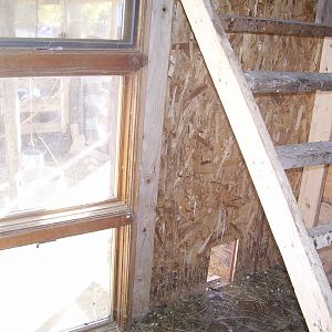 The new roost.  There are 6 roost bars, and all 31 chickens squeeze onto the top 3...