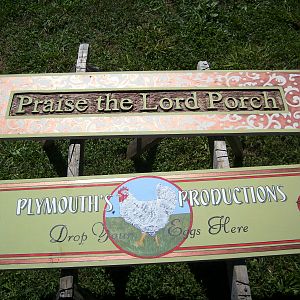 Praise the Lord Porch

Plymouth's Productions (drop your eggs here)