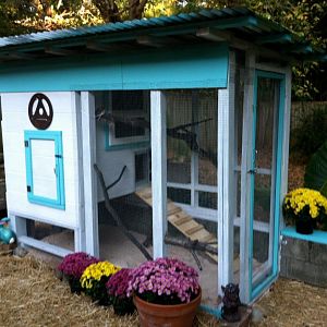 The coop