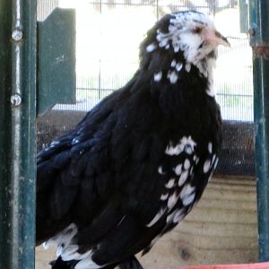 reminds me of my math teacher