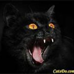 Vamp Kitty!!