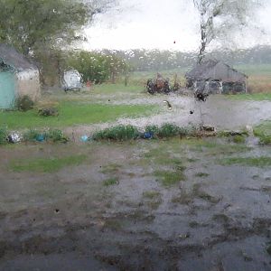 That was our yard after about 2 days of non stop rain.
