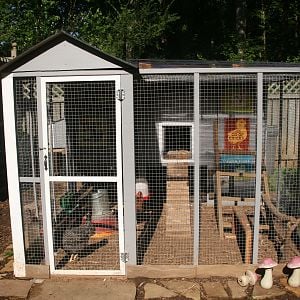 My DH built this coop for 'us' girls.