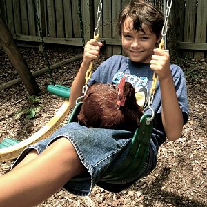 Evan swinging with Scarlett