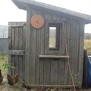 The coop. Converted from our shed.