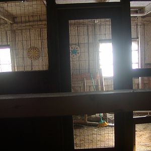 View from the roosts