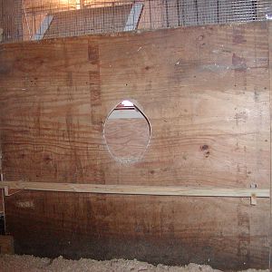 The community nest box perch and hole into the outside nest box