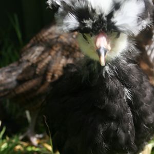 Raven when she was younger.