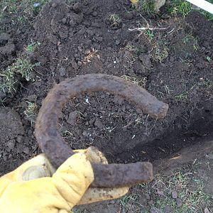 Never know what your gonna find digging on an old farm