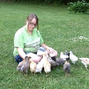 my daughter with the younger flock