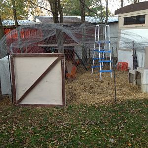 built a better door for the outside coop/run