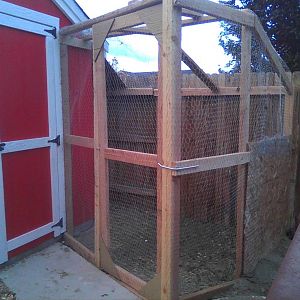 Completed Chicken run - Front view