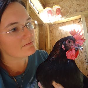 Sunshine and I.  She is by far my sweetest. She will hop right up in my lap.  I hatched all of the chickens except for Lady.  Sunshine almost didnt make it out and by the time she was a week old she followed me everywhere.:)