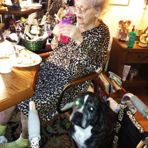 Mom, 96, with Harley by her side.  He appointed himself as her person care dog.