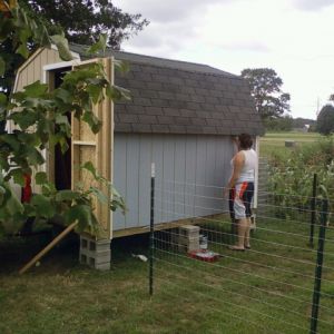 Finishing the paint, got the paining finished to protect it from the upcoming rains. Went back afterwards and made the opening and installed an old window.