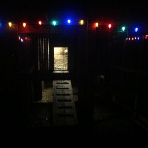 Christmas in the coop 1