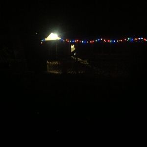 Christmas in the coop 2