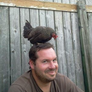 My husband with one of our banty's on his head! It's his favorite. He can sit in the pen with them and she is the only one that will get on him! She was pecking him on the head! It was so funny!