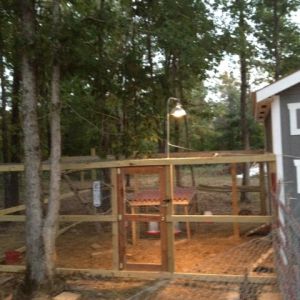 Picture of my enclosed run that is attached to the back of my coop