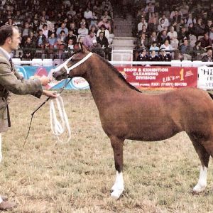 Lena at The 2003 Royal Welsh