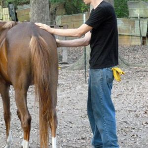 My middle child, Wade, out brushing Starlight right after he moved home from Florida.