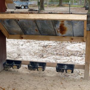 A close-up of the feeding station. We drilled small holes in the bottom of the plastic feeders in case any rain got into them. It also aids in cleaning them.