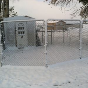 This is our hen house in the snow. 

Our coop is 8ftx8ft. It was converted from an old tool shed into this glorious chicken coop. To the interior we added 12 nesting boxes, electrical heat lamp and multiple roosts. On the exterior, we installed a new door we picked up on craigslist.org for $5. The doggie door we got at home depot and the chickens love it!