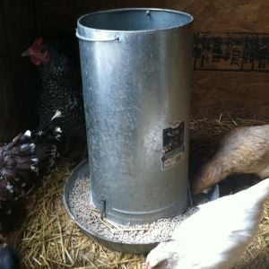 The feeder holds the majority contents of a 50lb feed bag. Diatomaceous earth is mixed into the feed as a preventative of internal parasites such as worms.