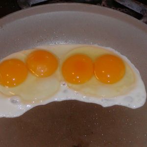 2 double yolk Ancona eggs