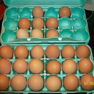 Big Brown Eggs...YUM