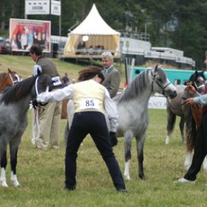 Lena at the 2003 Royal Welsh