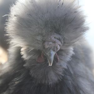 BP boy 5 months
Dec 2012