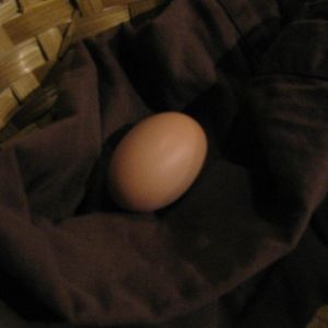 My first egg!