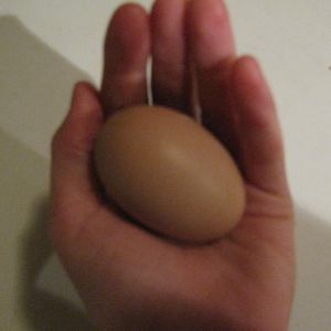 My first egg!