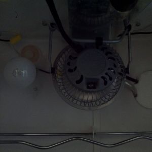 The main heating bulb and the fan.