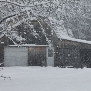 First storm this year. December 19th 2012

30 + cm of snow. The birds have the door wide open, yet refuse to come out. :P