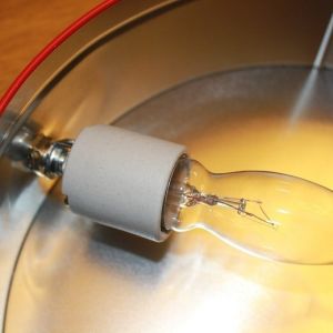 Ceramic socket I bought at Lowes with 40 watt chandelier bulb