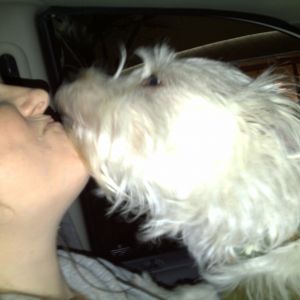 Me saying Good-Bye to my dog Cracker. As we downsized 2 years ago he became too much for me to handle between two kids school and a full time job and when I found out we were expecting that's when I felt he needed more attention than he was currenting recieving and about to recieve less. So I interviewd and met with a few people and chose a wonderful family for him. When I miss him too much I message her and she sends me photos!
