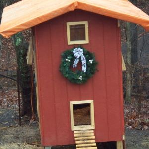 Coop at Christmas 2012. hope to add metal roof and exterior nest boxes this spring