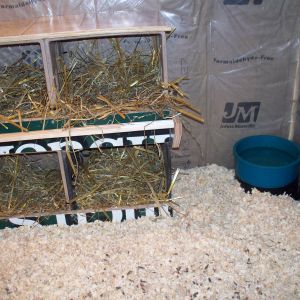 Temporary nest boxes i made from milk crates and a little plywood. The plan is to build some exterior boxes come spring