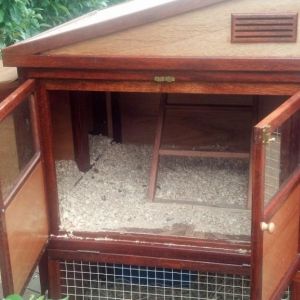 Top of coop with roosts and nest boxes