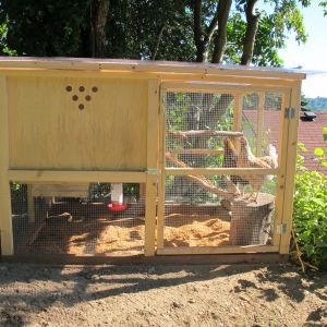 my coop