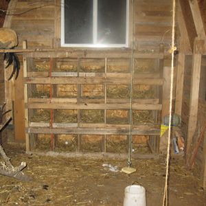 Removable nest boxes (20) aprox. 1'x1'x2'. They like the 5 on the bottom the best. The lower the pecking order, the higher the egg.
 They love pecking at frozen "suet on a string."