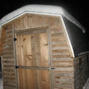 The Coop. The door is 1"x12" pine. It's 8 1/2' high @ peak. Just 3 tab shingles, you can see my southern facing plex-e-glass windows.