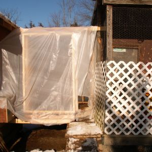 This is the front side.See how the natural sun light comes in for heat.Poop door is at bottom right.I will put a window in as on the back side