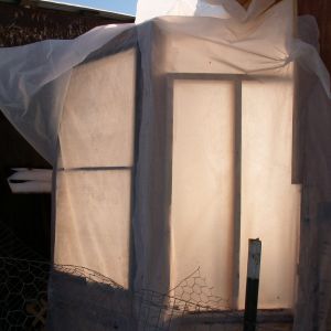 Out side of coop.I've placed a window for lighting