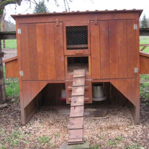 Our chicken coop with the doors closed