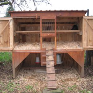 Our chicken coop with the doors open