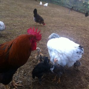 OK, your turn to watch the kids. I need a break...