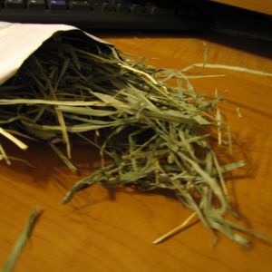 Timothy Hay Sample